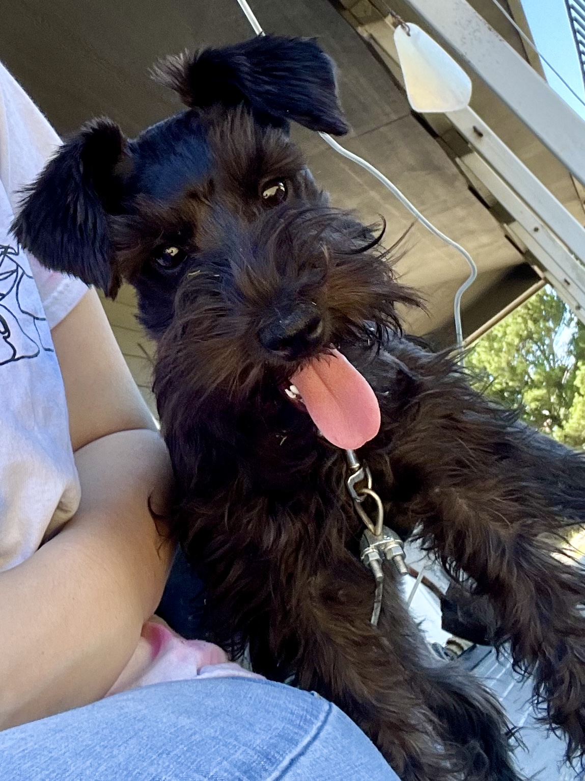 Ellie