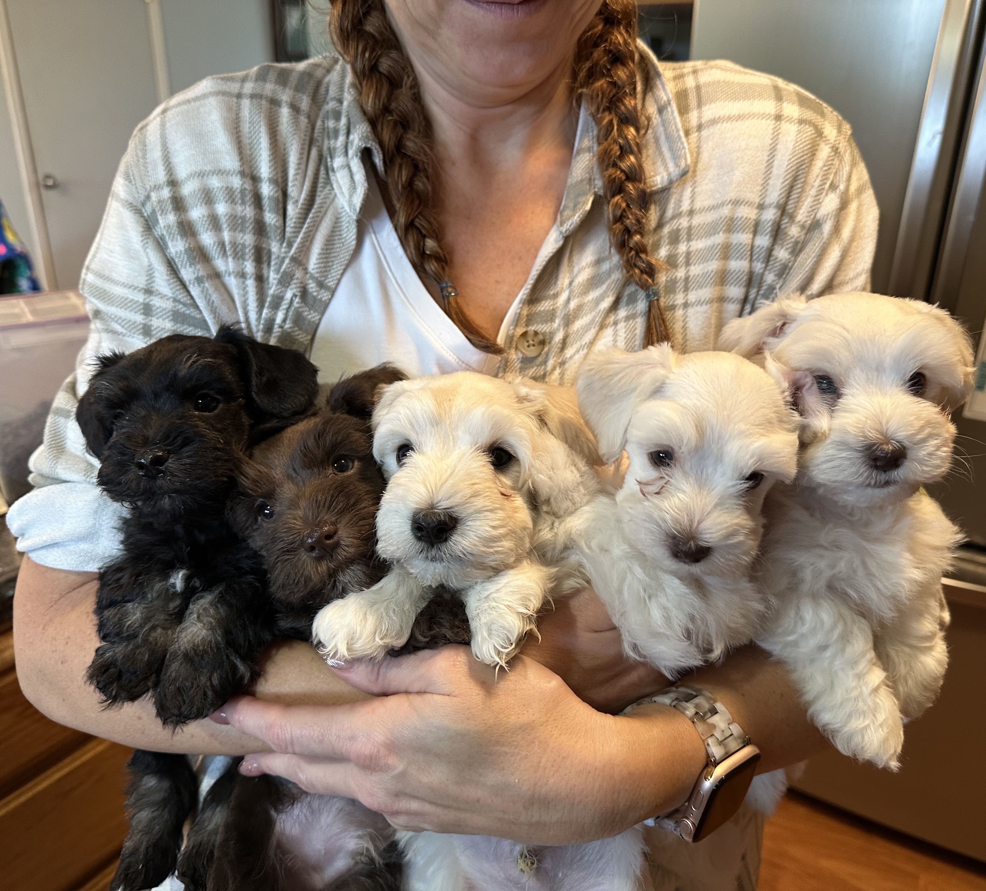 Breeder's children in the field